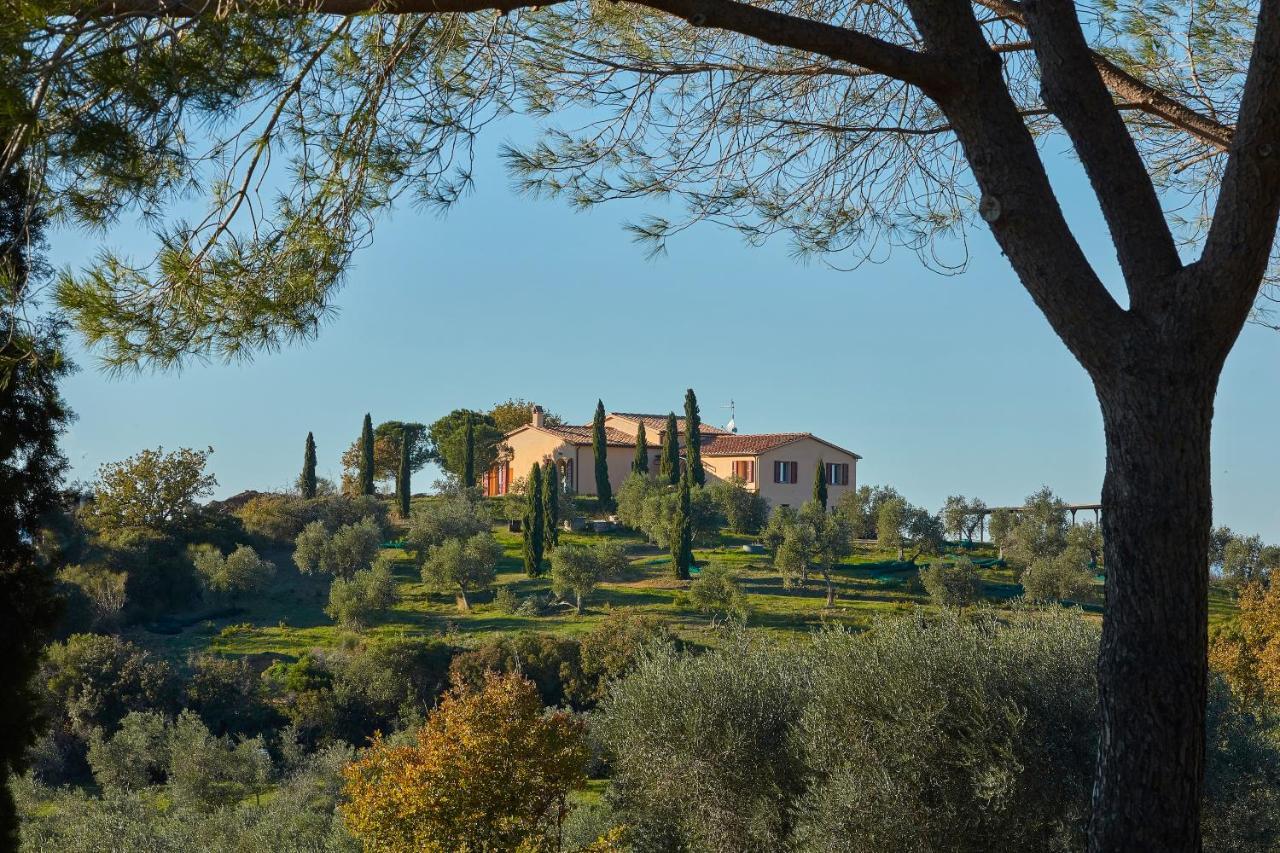 Poggio Tamantino, Villa Con Piscina In Maremma Poggio Cavallo Exterior photo